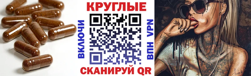 ЭКСТАЗИ Philipp Plein Абакан