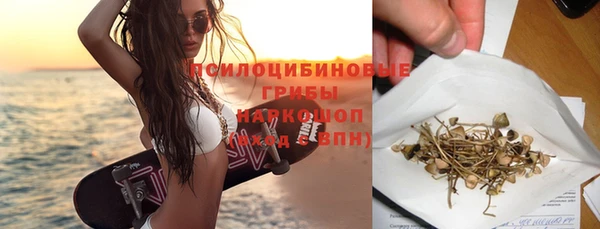 дурь Осташков