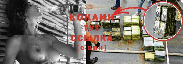 кокс Няндома
