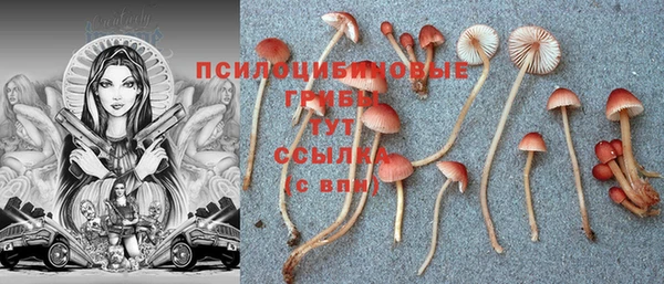 а пвп мука Нягань