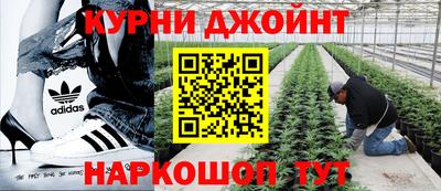 PSILOCYBIN Азнакаево